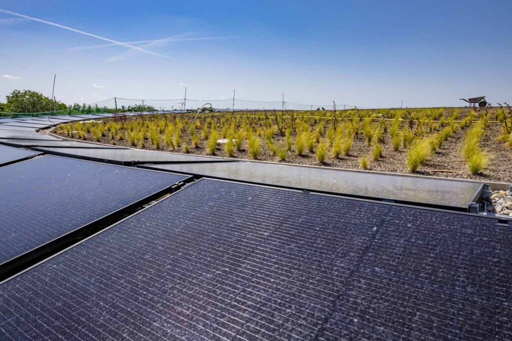 Photovoltaikanlage auf dem Dach SAP Garden© FloHagena.com / SAP GARDEN